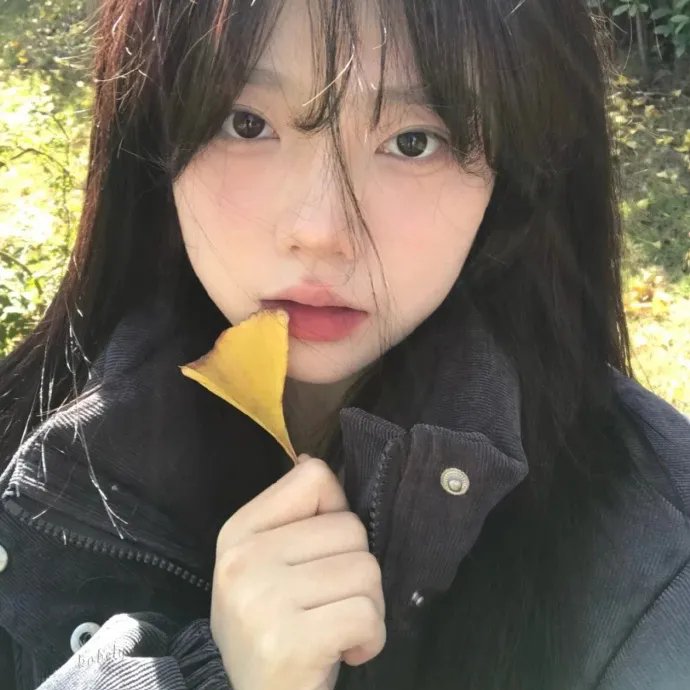 儿子与情人封面